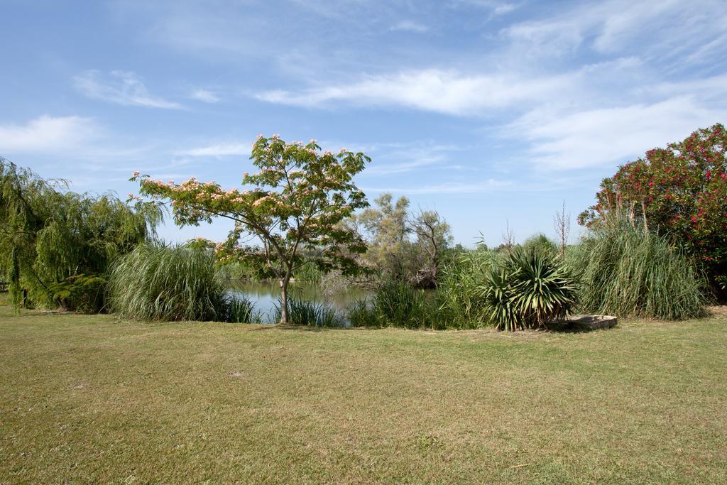 Gites Equestres Lou Caloun - Les Saintes Maries De La Mer Quarto foto